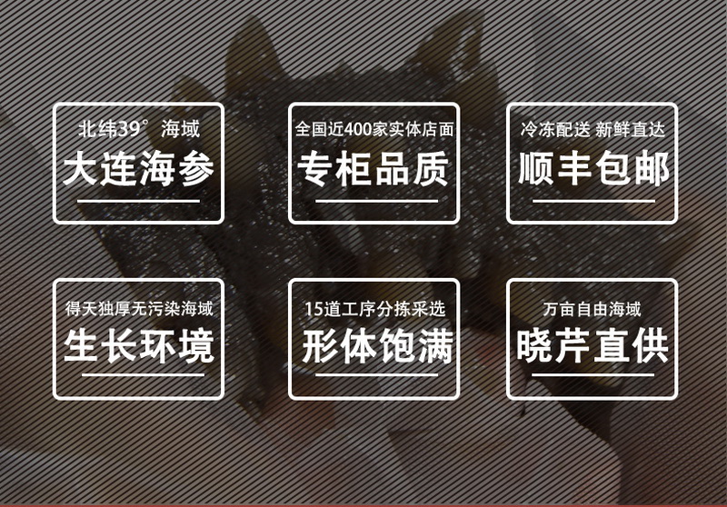 海參,即食海參,大連海參,曉芹海參,海參品牌,遼刺參,海鮮水產(chǎn) 海參,即食海參,大連海參,曉芹海參,海參品牌,遼刺參,海鮮水產(chǎn)